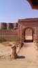 Bahawalpur-Darawar-Fort-152