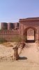 Bahawalpur-Darawar-Fort-156